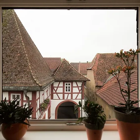 Appartement Ferienwohnung Schweizer